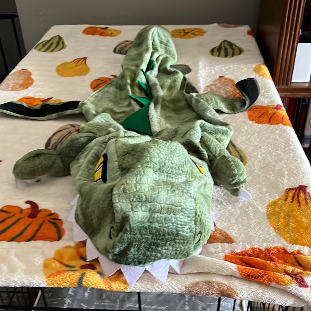 Alligator Halloween costume (dogs)